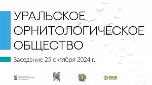 «Возвратная урбанизация кукушек в Екатеринбурге»: научный доклад  Светланы Мещерягиной