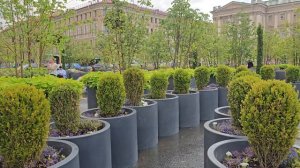 Санкт-Петербург Зенит, Центр, ЦПКиО Лето 2024