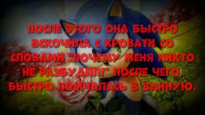 Книга: Алая роза, сияющая в ночи. (7 сезон) 52 серия. Регистрация, часть 2