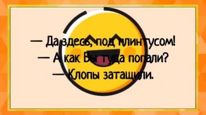 Мужику захотелось попробовать в зад! Сборник свежих анекдотов! Юмор! (1)