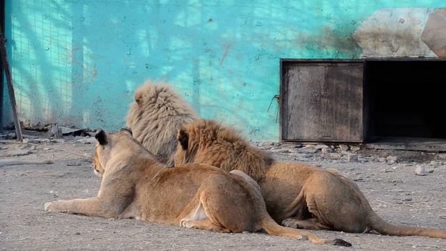 С ДНЕМ СЧАСТЬЯ ВАС ,ДРУЗЬЯ !!! смотреть онлайн