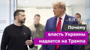 «Между Трампом и Зеленским много общего» Киев верит в «простые решения». Комик и бизнесмен это сила