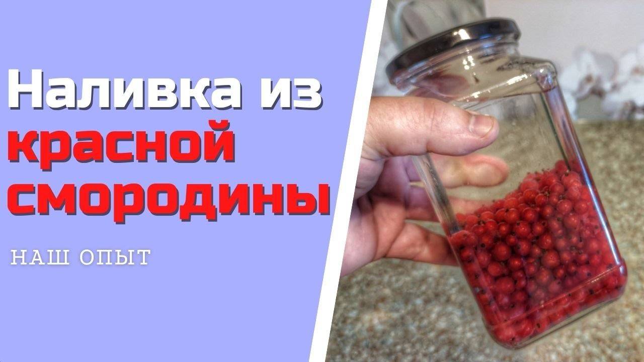 НАЛИВКА ИЗ КРАСНОЙ СМОРОДИНЫ на водке в домашних условиях, простой рецепт