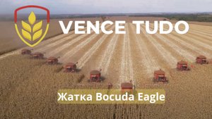 10 кукурузных жаток Bocuda Eagle на 16 тысячах гектаров и 240 линиях собирают урожай одновременно