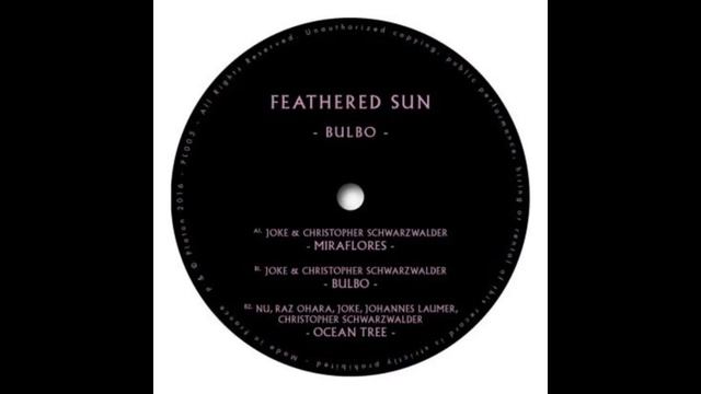 Feathered Sun – Bulbo (Original mix) | Platon Records смотреть онлайн