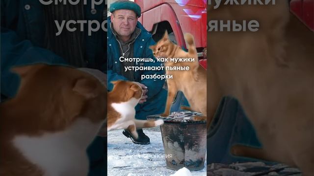 Что дальнобойщики делают на парковке