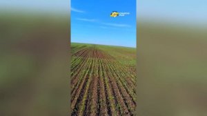 Сев озимых с автопилотом в Оренбургской области
