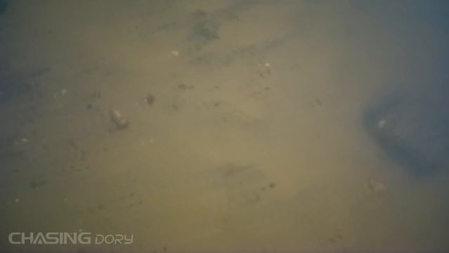 Эти жуткие военные находки мы нашли на дне с помощью подводного дрона!