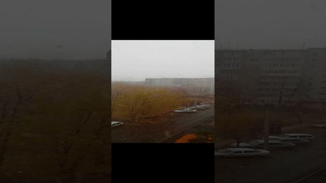 Снегноябрьshortsрекоминдации
