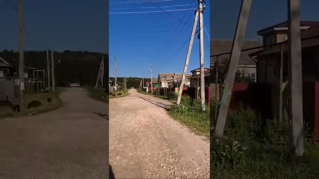 Кто рано встает, тот все грибы соберет, Тарасиха смотреть онлайн