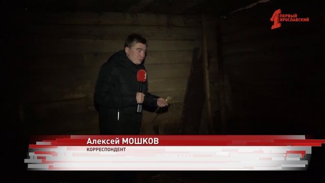 Козлик-потеряшка обрел дом: корреспондент «Первого Ярославского» побывал у рогатого в гостях