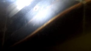 Мы отправились на проклятый причал с аквалангом, чтобы узнать, что внутри логова болотного монстра