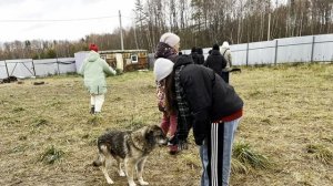 🐾 Ребята из 39-й гимназии утеплили будки наших лохматых