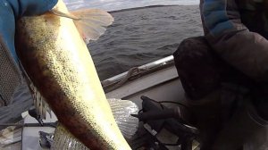 Маленький Твистер спас ,нашу рыбалку.