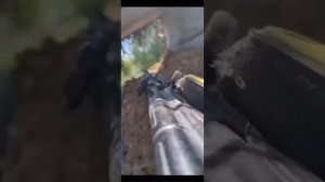 песни про сво