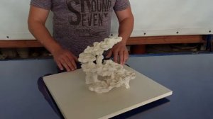 Декорация ДФМм-65П