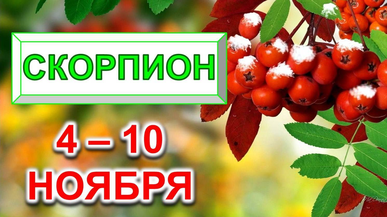 ♏ СКОРПИОН. 🍒 С 4 по 10 НОЯБРЯ 2024 г. 🎁