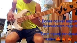 Тест гриф-печёный клён !!!