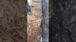 каждый день на мотоцикле.mp4