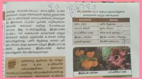 எட்டாம் வகுப்பு அறிவியல் தாவரங்கள் மற்றும் விலங்குகளைப் பாதுகாத்தல் மதிப்பீடு வினா விடை|tet science