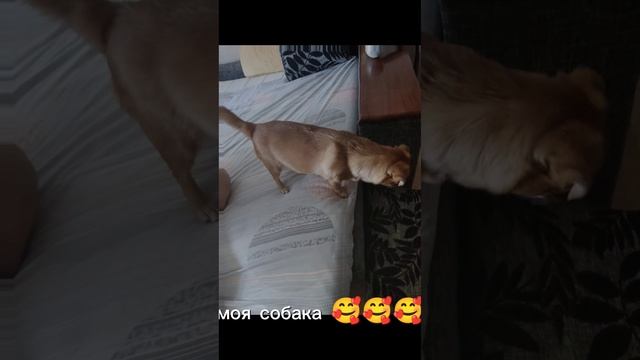 Милота ❤️❤️❤️❤️❤️❤️