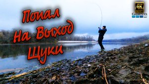 Разворошил щучью стоянку❗Щучий жор осенью❗Река Уфа❗