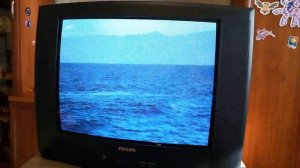 Телевизор PHILIPS (Филипс) 25PT4104/58 (62 см)