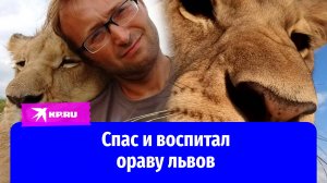 Московский биолог Алексей Тихонов уехал в ЮАР и воспитал десяток львов