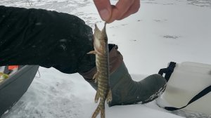 Рыбалка на жерлицы. Фильм о рыбалке.