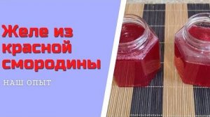 Желе из красной смородины на зиму простой рецепт