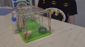 Муравьиная ферма