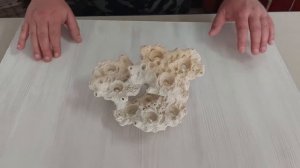 Декорация ДМ-49Т