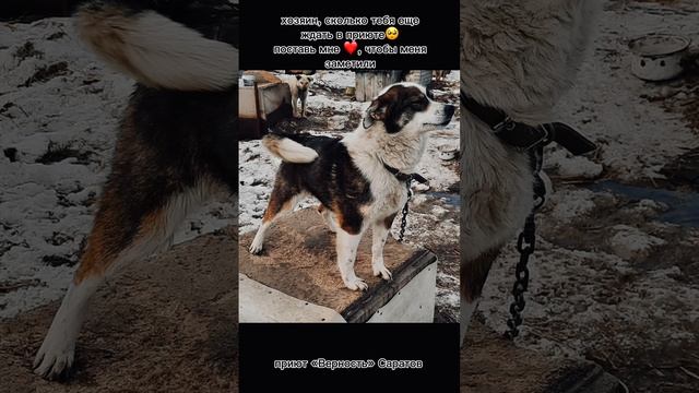 Валя ищет дом