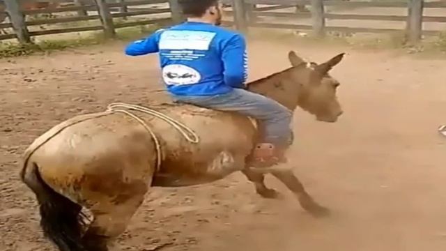Опасные скачки