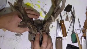 Медальон из рогов косули Ч2