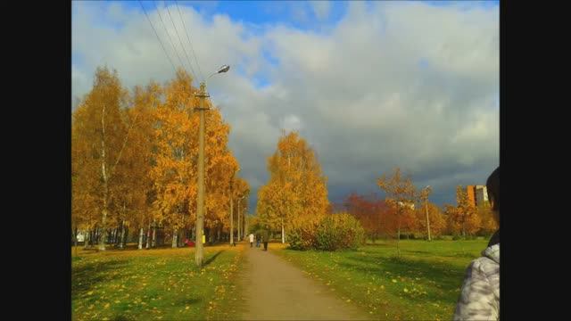 Осень....листопад