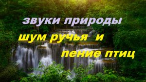 Звуки природы. Пение птиц с журчанием ручья. атмосферные звуки природы
