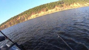 Москвичи РЫБАЧЮТ в Берсуте.