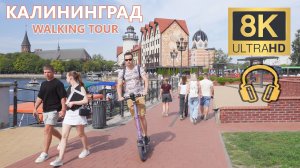 Калининград ~ Летняя прогулка ~ Walking Tour 8K 60к/с 🎧 С окружающим стерео звуком