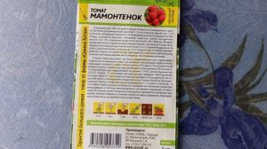 Самый лучший томат 🍅2024г