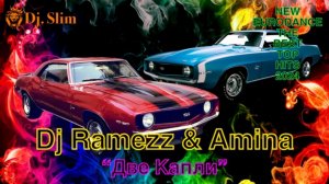 Dj Ramezz & Amina - Две Капли. 🎵 Dj. Slim - New Eurodance / The Best Top Hits 2024 🎵