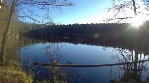 времена года 2024 осень музыкальная