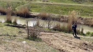 Разведение осетра бестера белуги стерляди