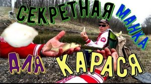 Секретная манка для карася-рыбалка на карася.#рыбалка #карась #ловлякарася#карасьнаманку