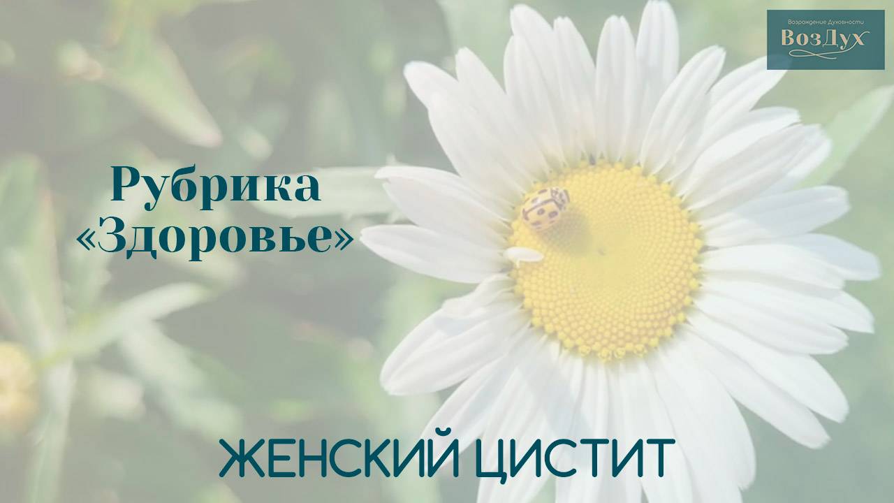 Женский цистит | Психосоматика | Здоровье | Татьяна Бекаревич
