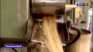 Погода 30-31.07.2016. г. Павловск Воронежской обл.