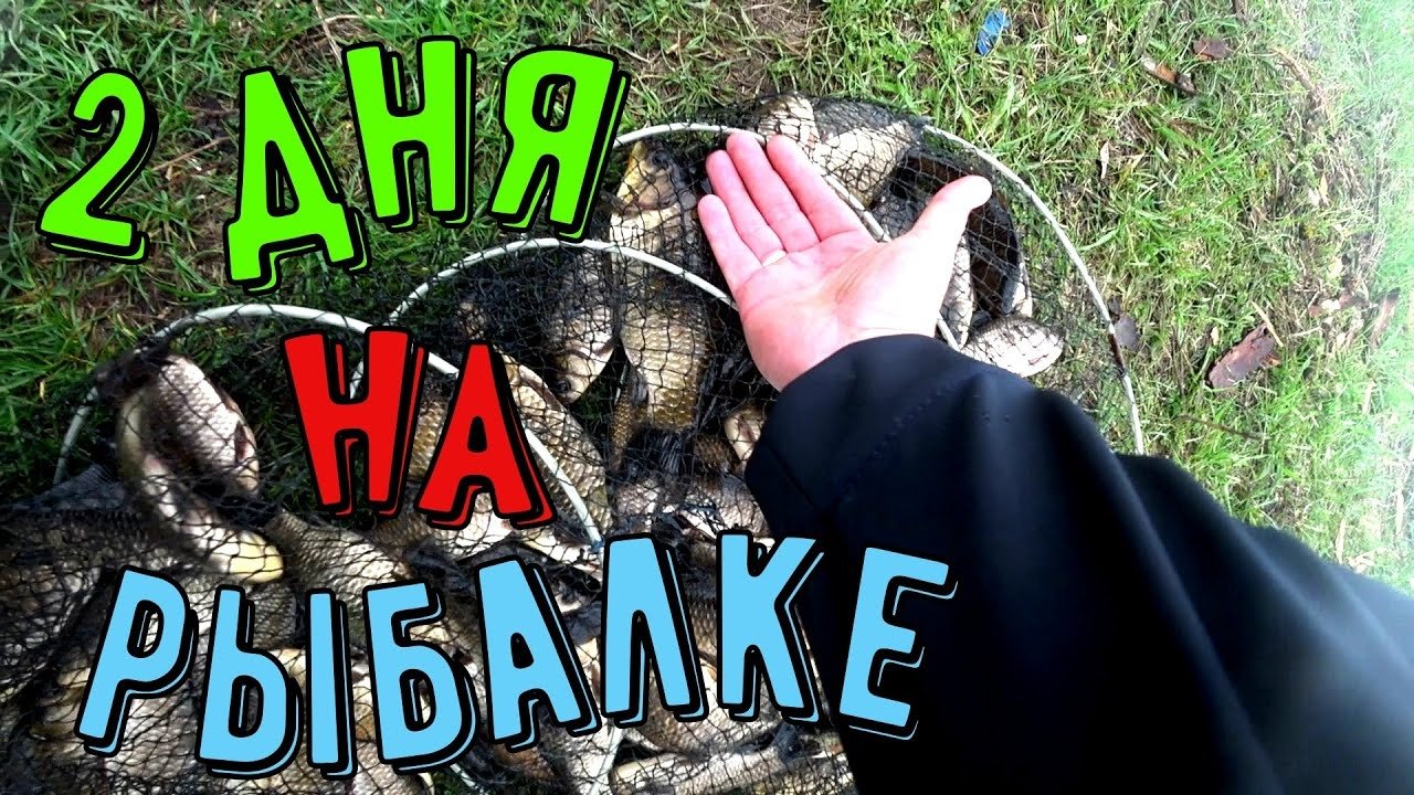 Рыбалка на карася-с ночевкой.Готовим на природе.#рыбалка#карась#ловлякарася#рыбалкасночёвко
