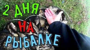 Рыбалка на карася-с ночевкой.Готовим на природе.#рыбалка#карась#ловлякарася#рыбалкасночёвко