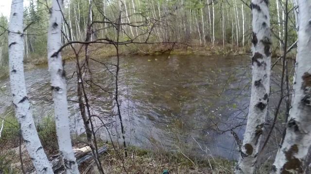 Выход в тайгу на горную речку.