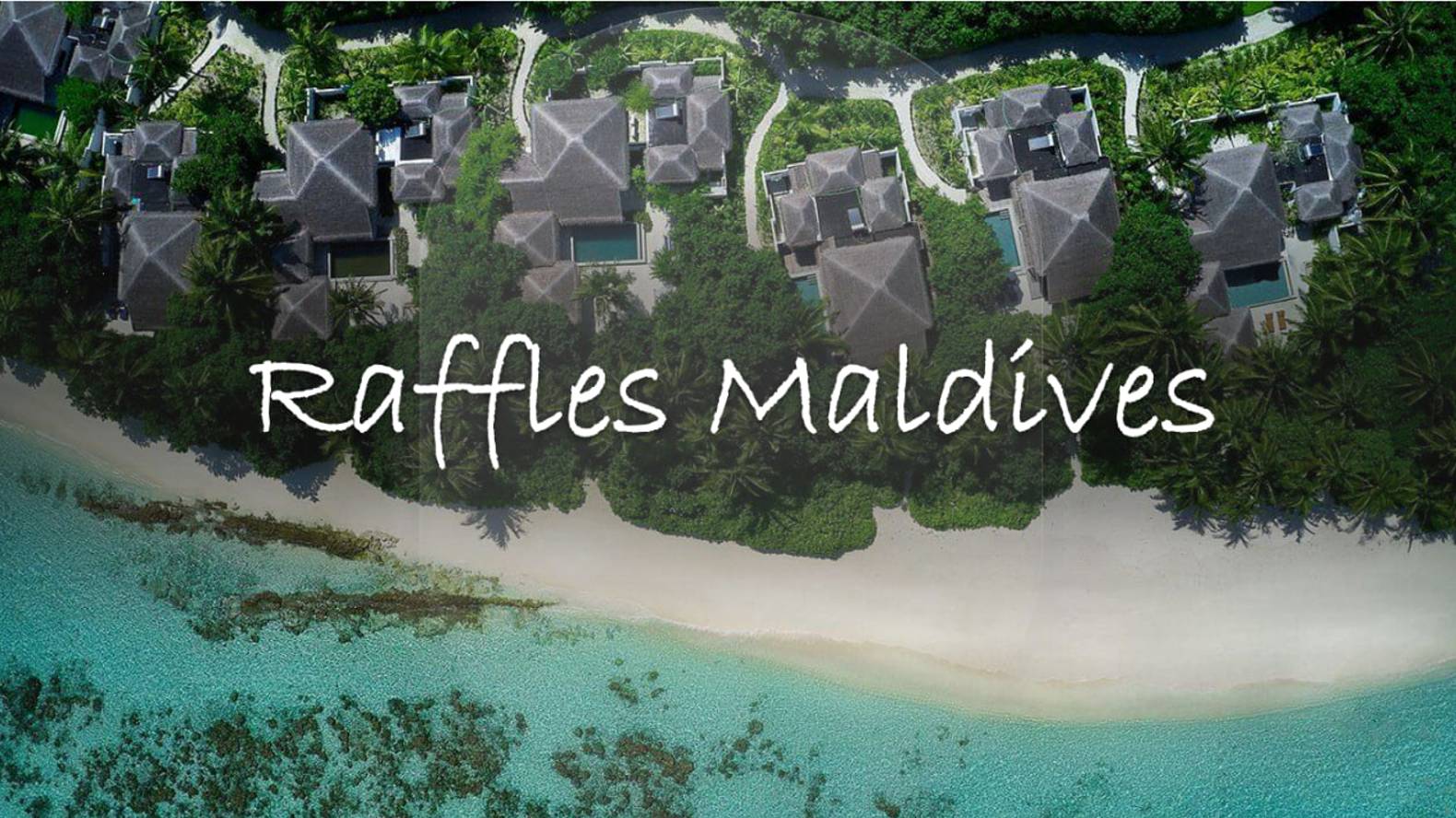 Вебинар с отелем Raffles Maldives